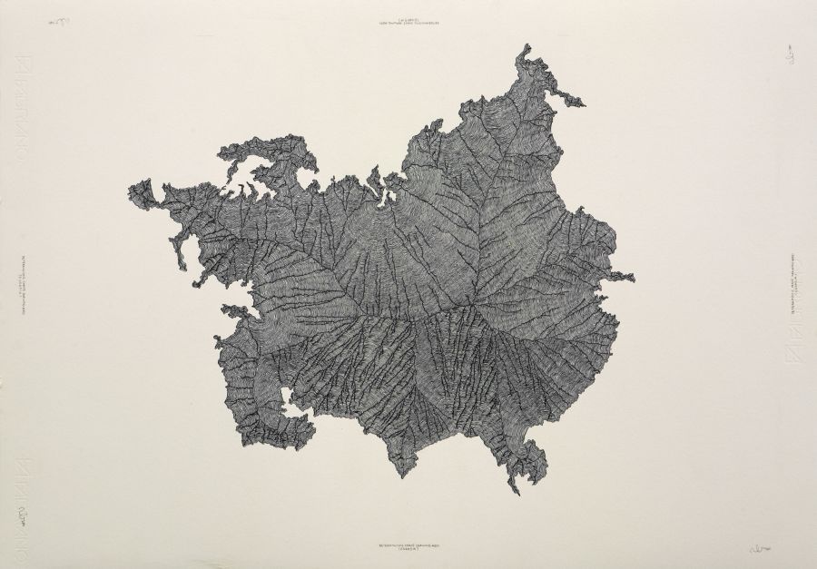 Neil le Roux. Deterministic Chaos Drawing #031 Eurasia. 2011. Ballpoint pen on paper. 500X710mm 
